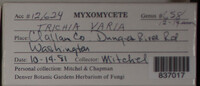 Image Associated With the Occurence
